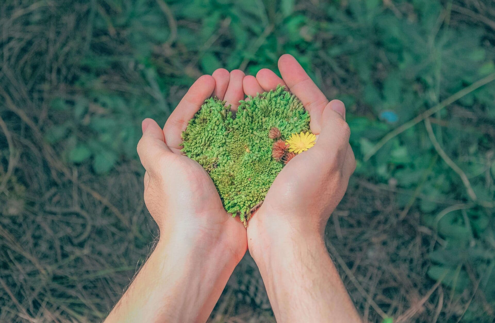 Sustainable